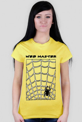 web master