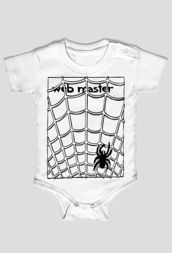 web master
