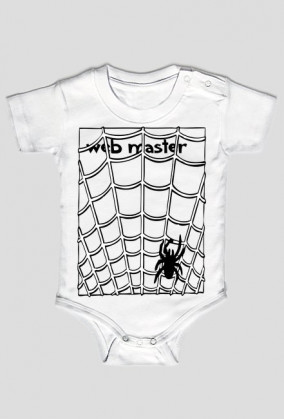 web master