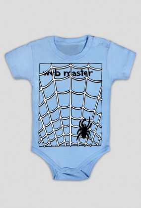 web master