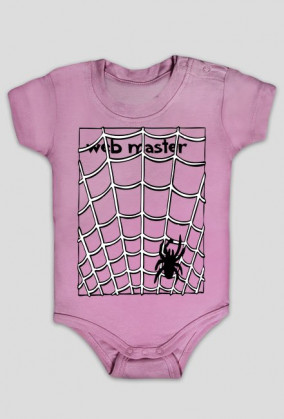 web master