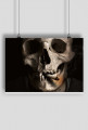 Plakat SKULL