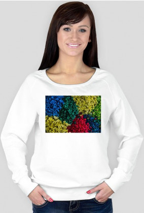 Stylowa i oryginalna koszulka 4CLYDE (wszystkie kolory)