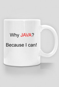 Why JAVA?