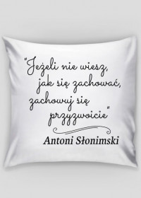 Poszewka na poduszkę - Cytat, A. Słonimski