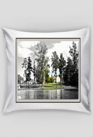 Nad jeziorem B&W - poduszka
