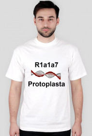 Protoplasta