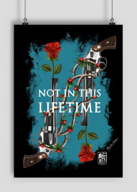 NOT IN THIS LIFETIME (plakat)