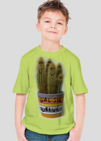 Kaktusy :)