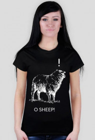 oh my black lady sheep