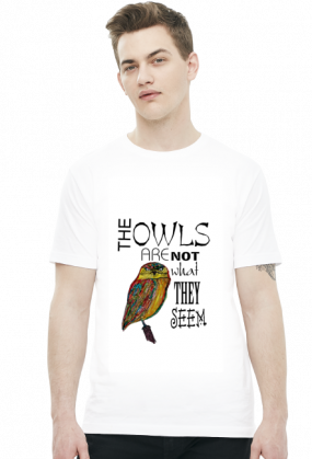 TWIN PEAKS Sowy nie są tym, czym się wydają