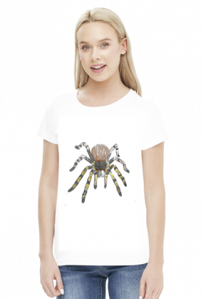 TARANTULA PTASZNIK