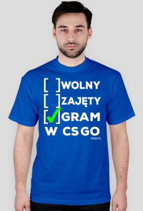 Status: Gram w CS GO