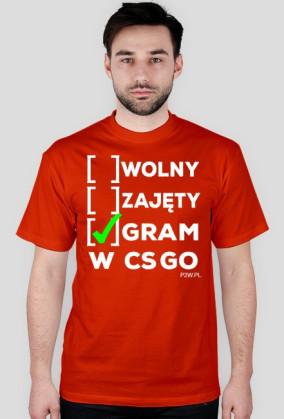 Status: Gram w CS GO