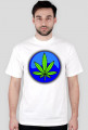 Boom "Grass"