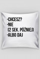 PODUSZKA Z NADRUKIEM