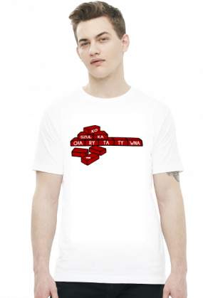 Cegiełki (t-shirt) ciemna grafika