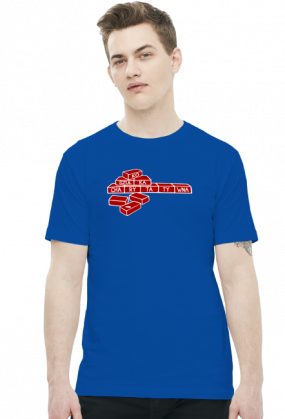 Cegiełki (t-shirt) jasna grafika