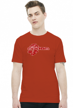 Cegiełki (t-shirt) jasna grafika