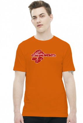 Cegiełki (t-shirt) jasna grafika