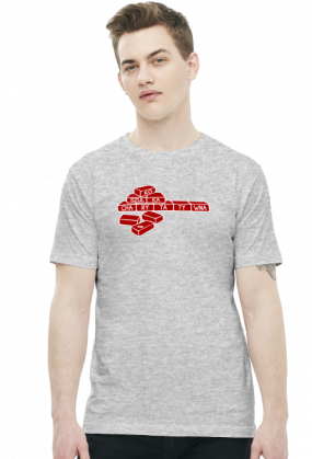 Cegiełki (t-shirt) jasna grafika