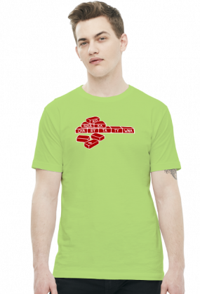 Cegiełki (t-shirt) jasna grafika