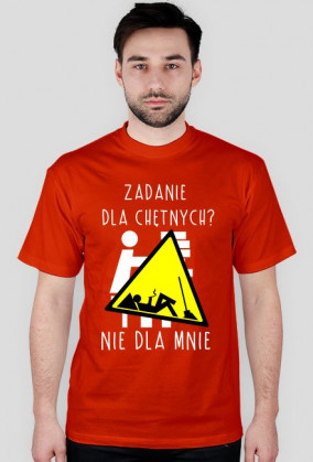 KOSZULKA - ZADANIE DLA CHĘTNYCH