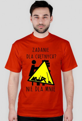 KOSZULKA - ZADANIE DLA CHĘTNYCH