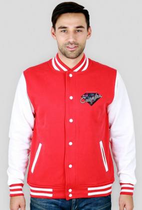 Bluza college CASANDRA #2 (logo przód) RÓŻNE KOLORY!