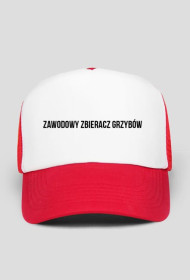 Zawodowy zbieracz grzybów