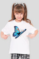 Motyl