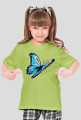 Motyl