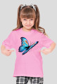 Motyl