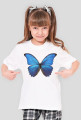 Motyl