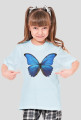 Motyl