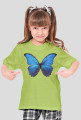 Motyl