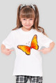 Motyl