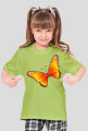 Motyl