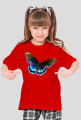 Motyl