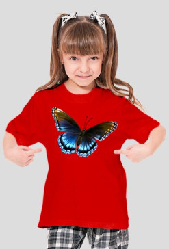 Motyl
