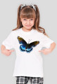 Motyl