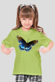 Motyl