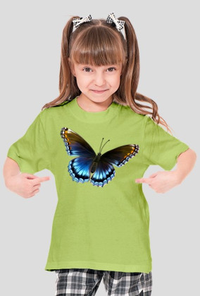 Motyl
