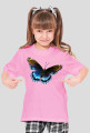 Motyl