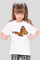Motyl