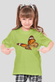 Motyl