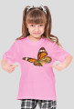 Motyl