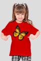 Motyl