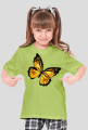 Motyl