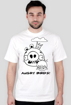 Angry Birds